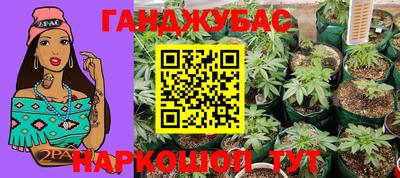 метадон Новозыбков